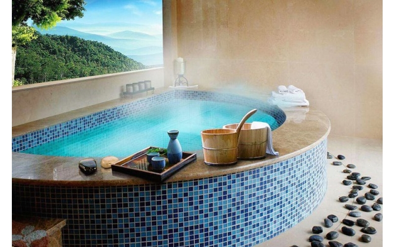 ForEarth Series Product for Swimming Pool & SPA